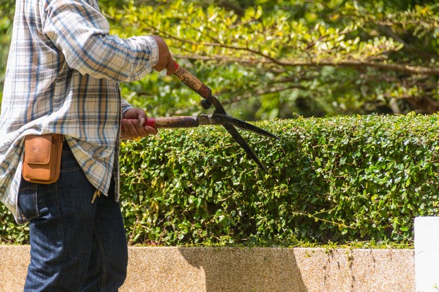 Garden Maintenance Stockley Park, UB11